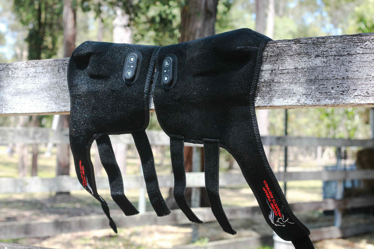 Red Light Therapy Tendon Boot – Equine Therapy Products Australia