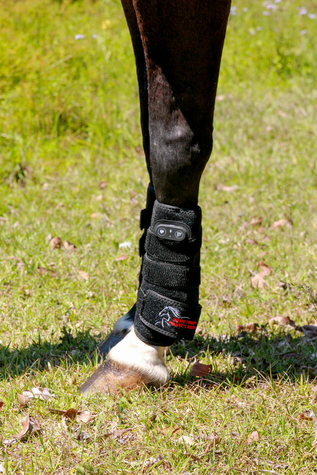 Red Light Therapy Tendon Boot