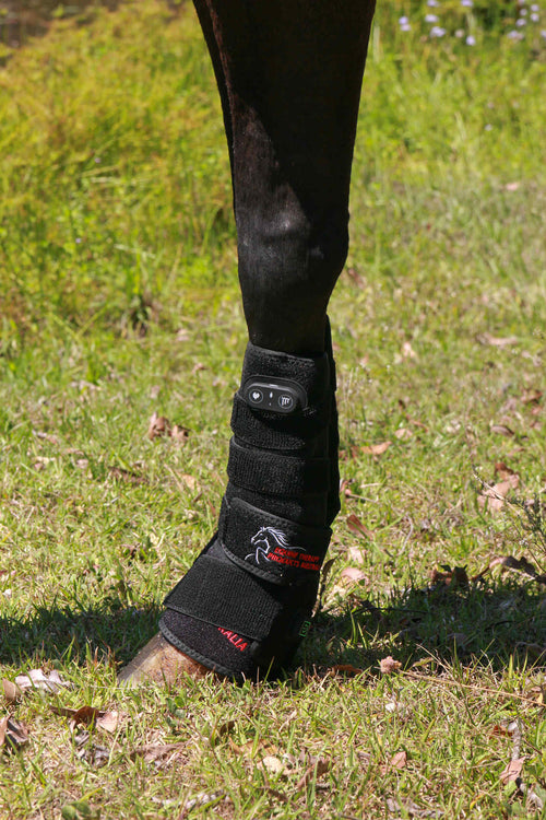 Red Light Therapy Bundle & Save