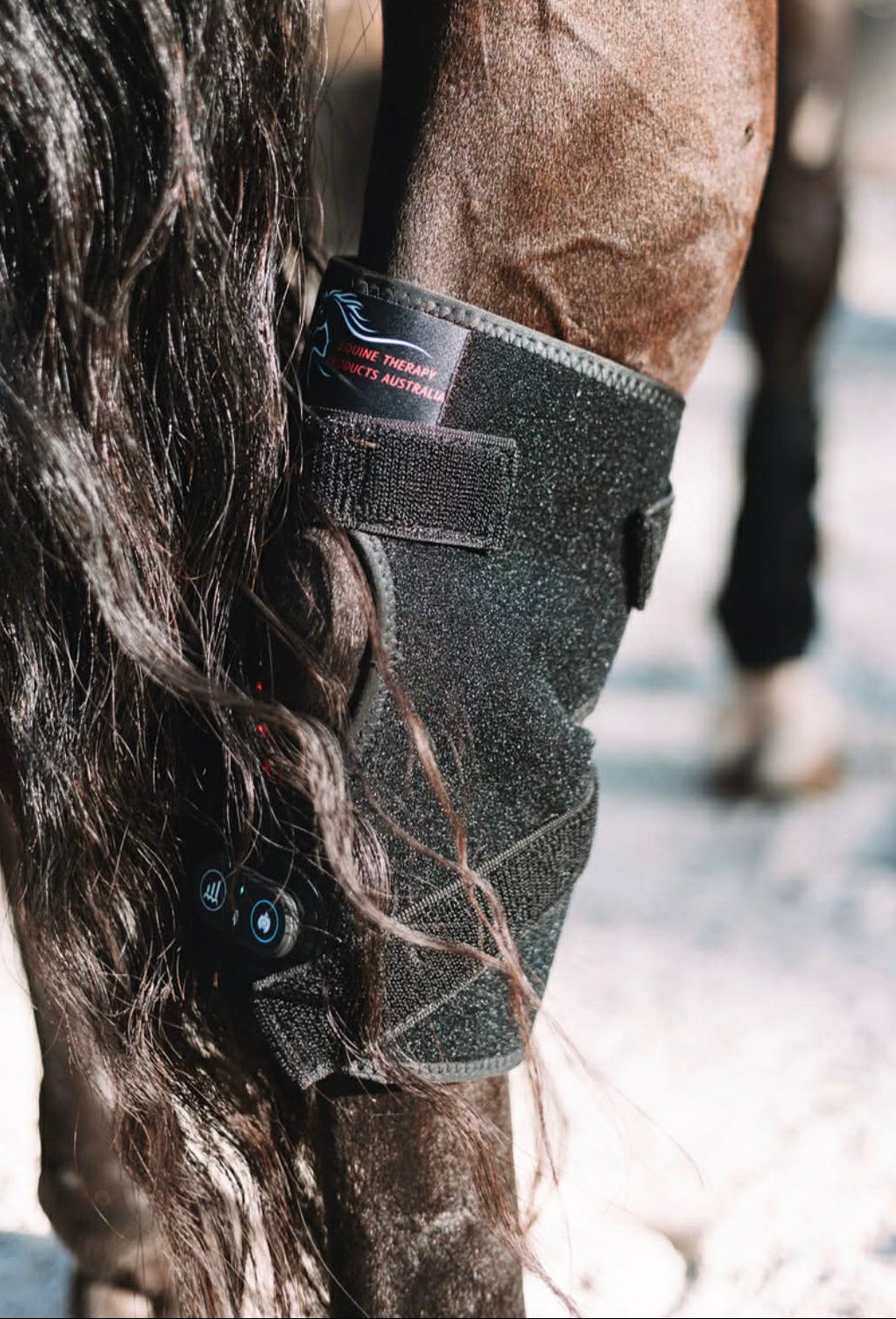 Red Light Therapy Hock Boot