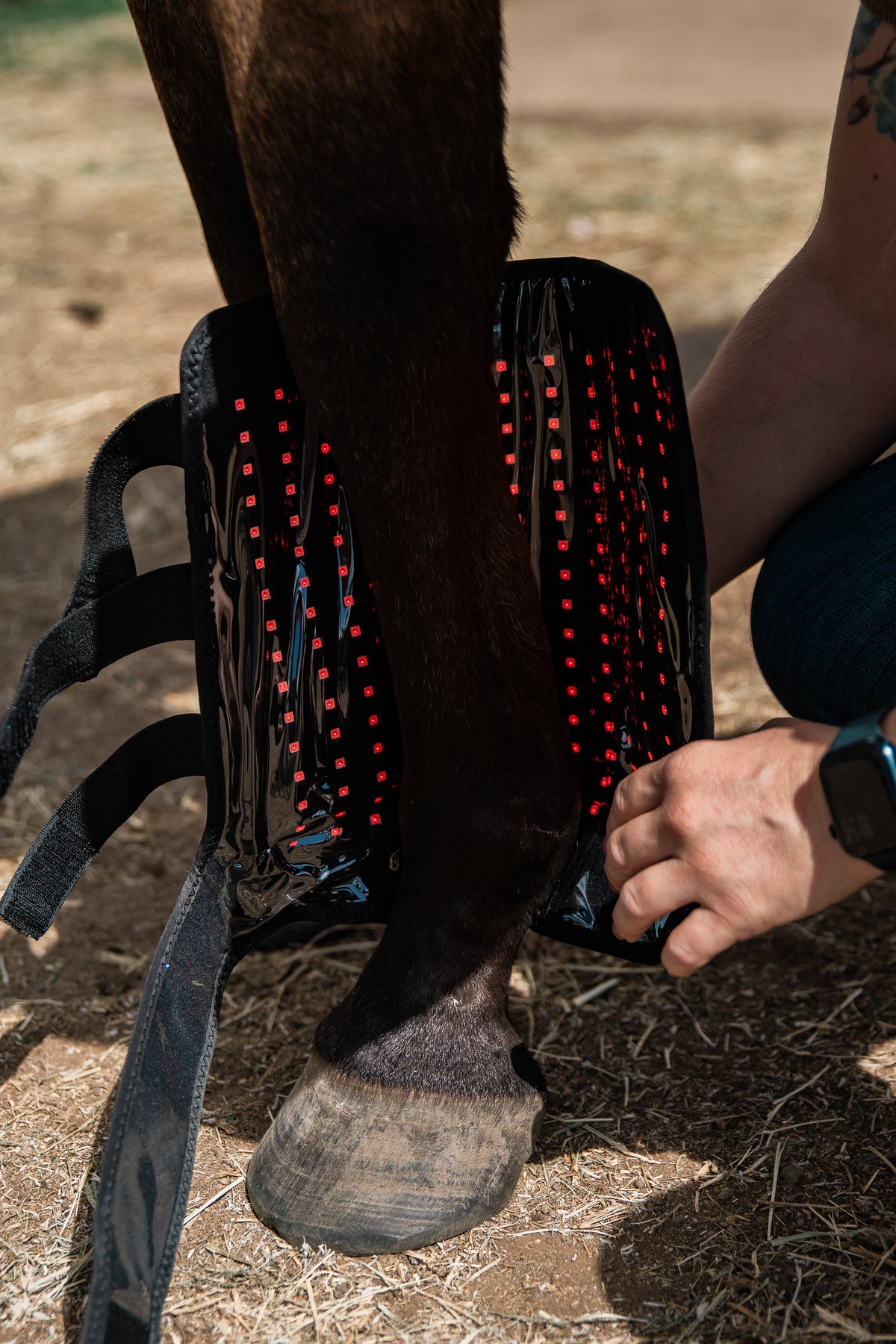 Red Light Therapy Tendon Boot