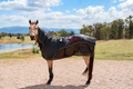 PEMF Horse Rug