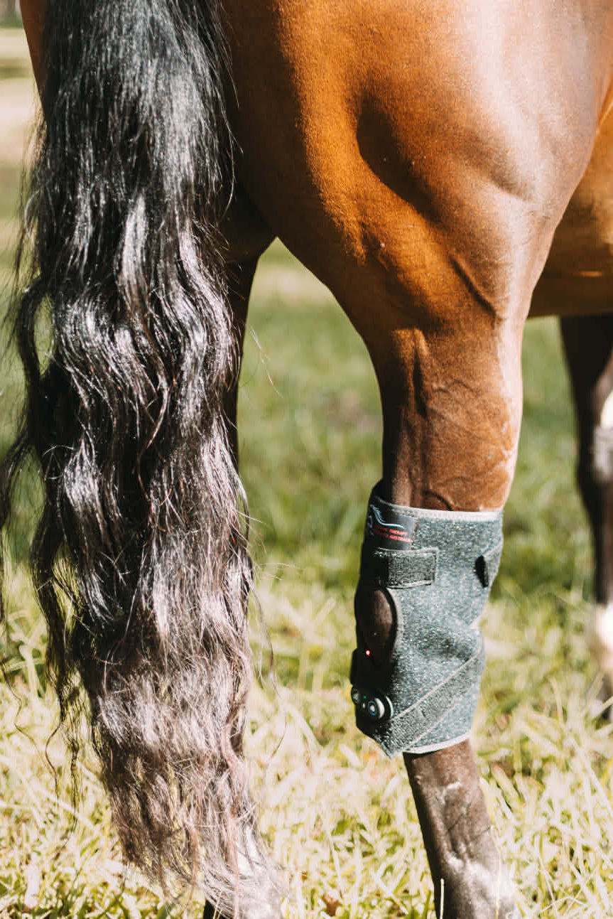 Red Light Therapy Hock Boot