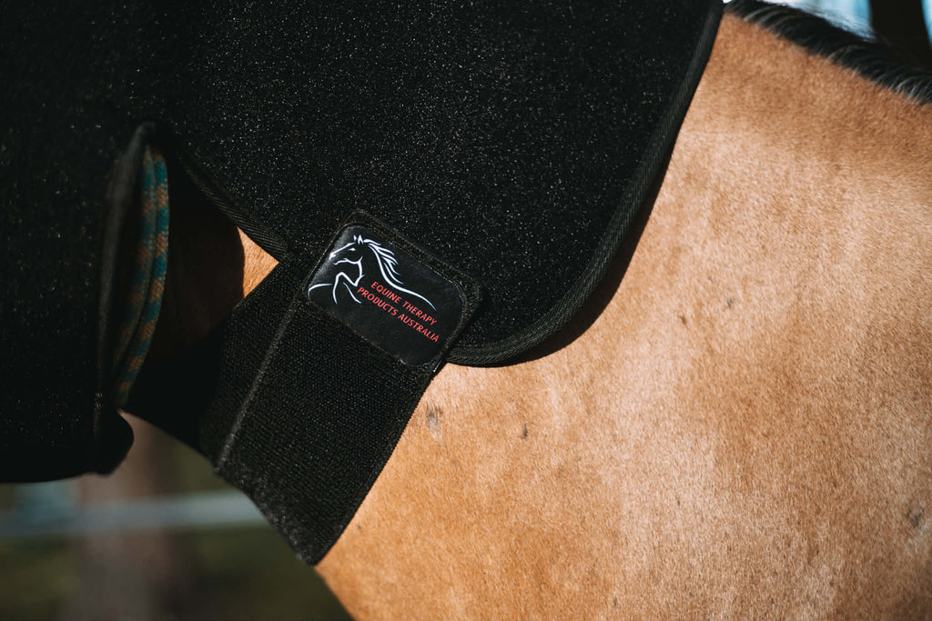 Red Light Therapy Poll Hood