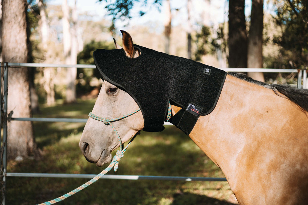 Red Light Therapy Poll Hood