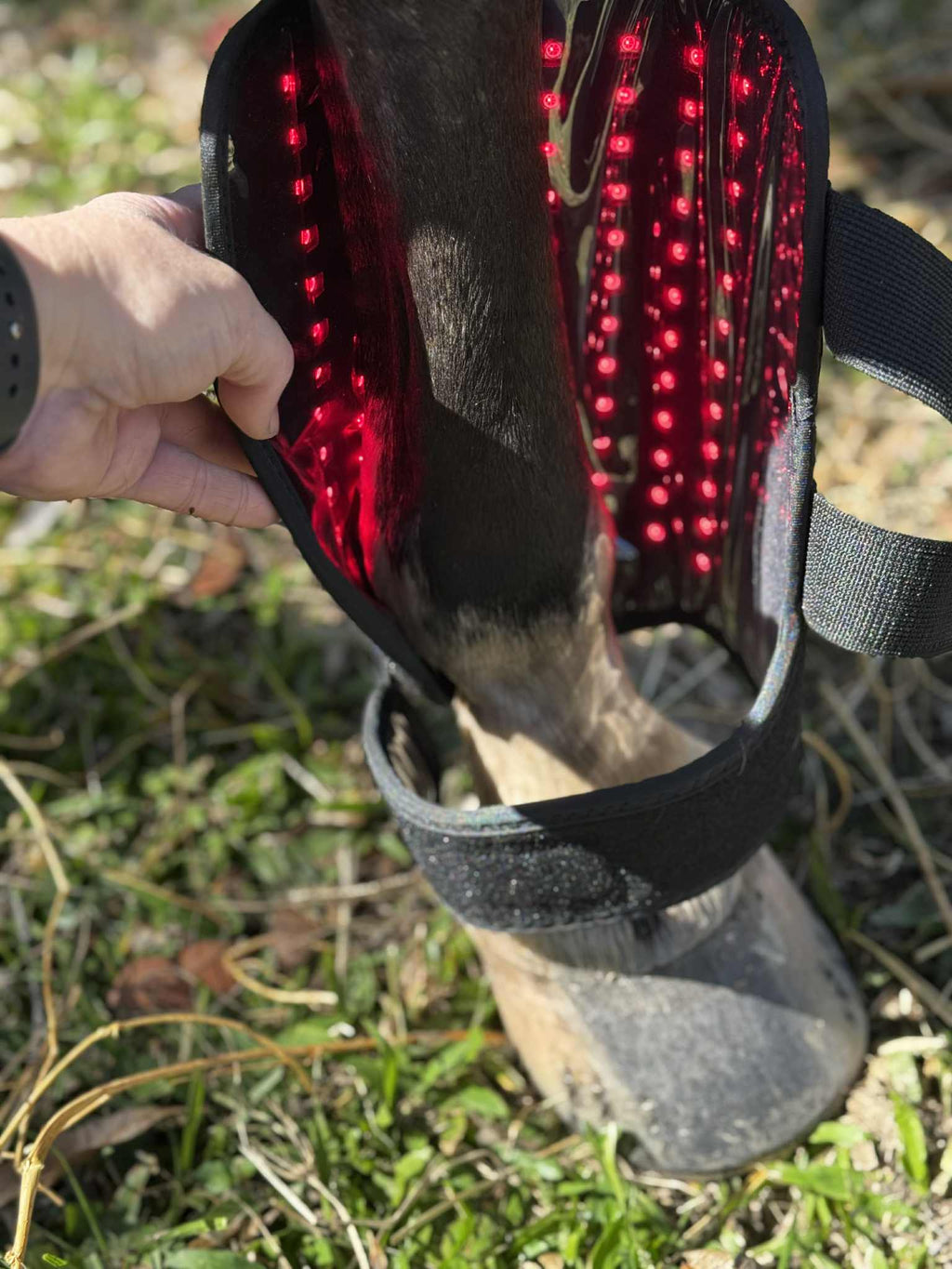 Red Light Therapy Tendon Boot