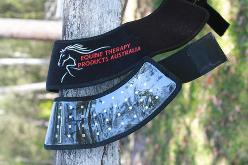 Red Light Therapy Hoof Wrap