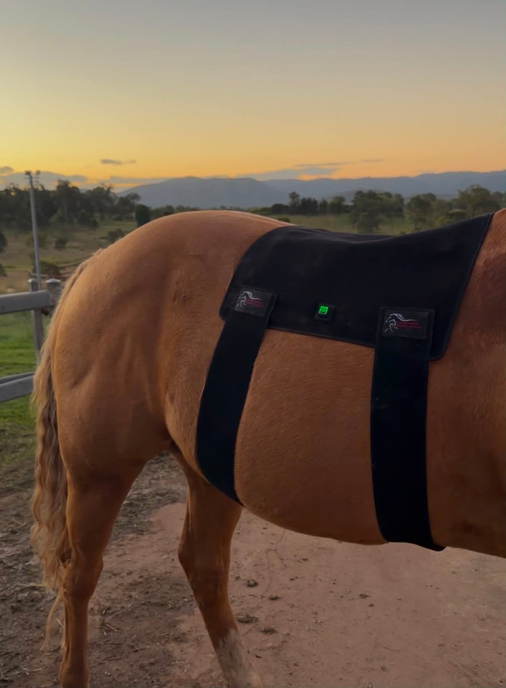 Back Pad