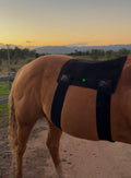 Back Pad